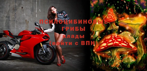 прущая мука Алзамай