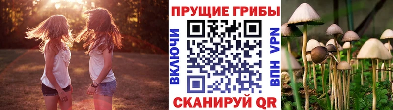 Псилоцибиновые грибы мухоморы  Купить где  Анапа 